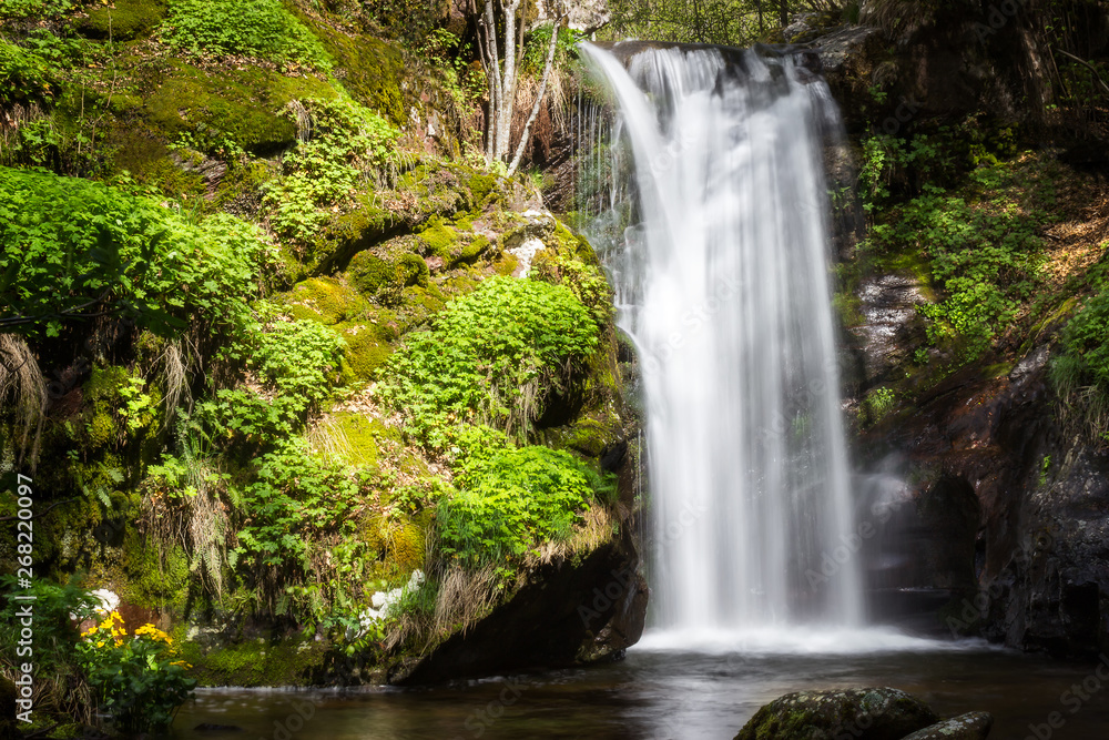 Low angle view of scenic forest waterfall Krmolj on Old mountain, with sunlit rocks and flowers in the foreground streaming down the vertical cliff