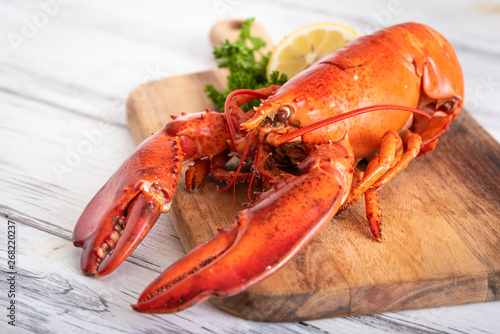whole boiled lobster image