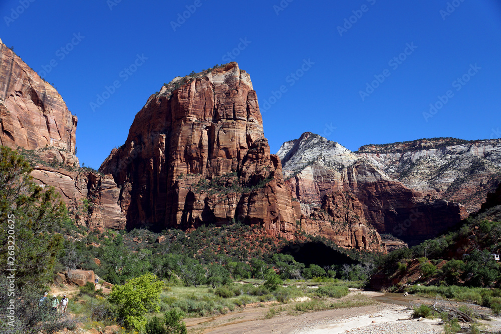 Fototapeta premium Angels Landing Zion Nationalpark