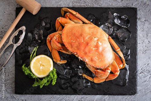 boiled dungeness crab image photo