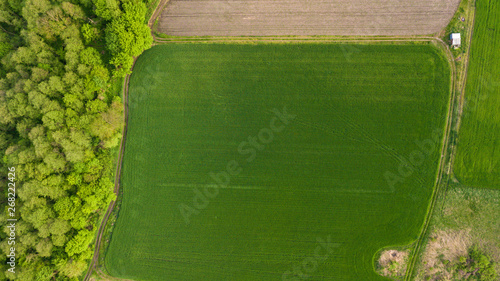River and fields top view. Photographed from the drone. Beautiful view of the agropolis. Spring. Green fields
