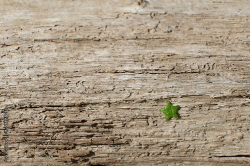 Stern auf altem Holz