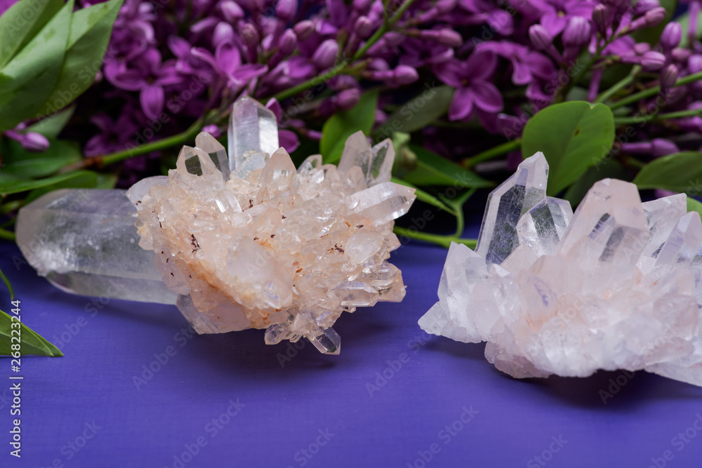 Himalayan Clear Quartz Clusters with Hematite inclusions surrounded by purple lilac flowers. Himalayan Clear Quartz Clusters with Hematite inclusions surrounded by purple lilac flowers.