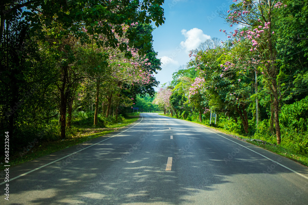 Nature and beautiful road to Ao nang Krabi in Thailand Nature and beautiful road to Ao nang Krabi in Thailand