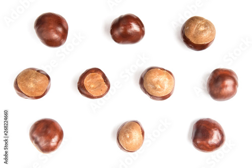 chestnuts or aesculus hippocastanum or conker tree nuts isolated on white background