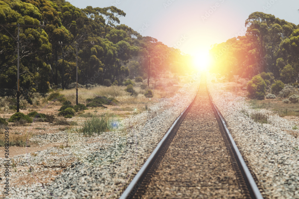 Fototapeta premium Vintage train tracks. Journey any direction.
