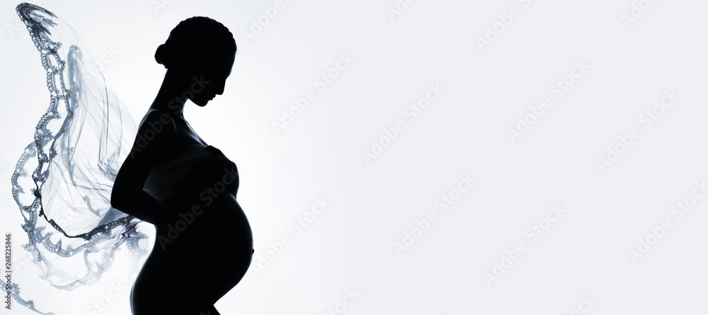 Beautiful black silhouette of pregnant woman with flying fabric like butterfly wings horizontal image on white background, copy space for advertisement text conceptual cropped photo