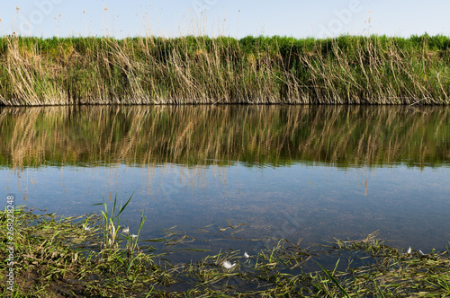 Tableau sur toile Reflection of overgrown vegtation on river water