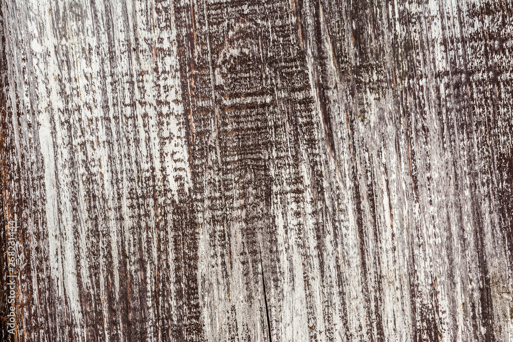 Fototapeta premium Antique and weathered gray black wood wall vintage retro style background and texture