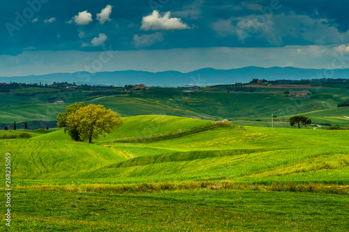 Tuscany spring  rolling hills and windmill on sunset. Rural landscape. Green fields. Italy  Europe