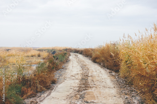 dirt road in nature