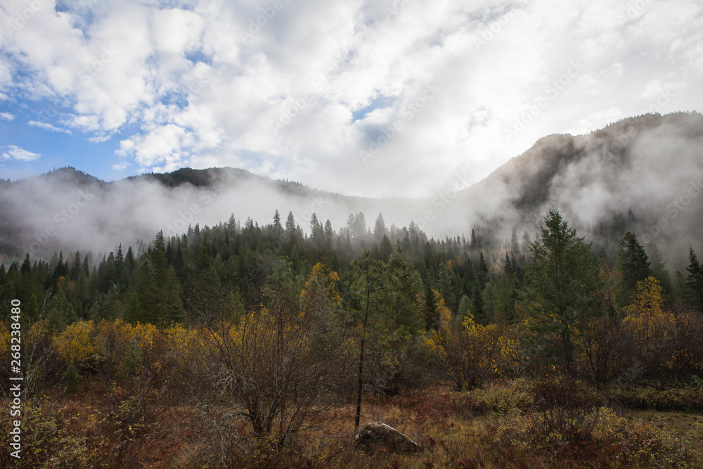 fog in the mountains fog in the mountains