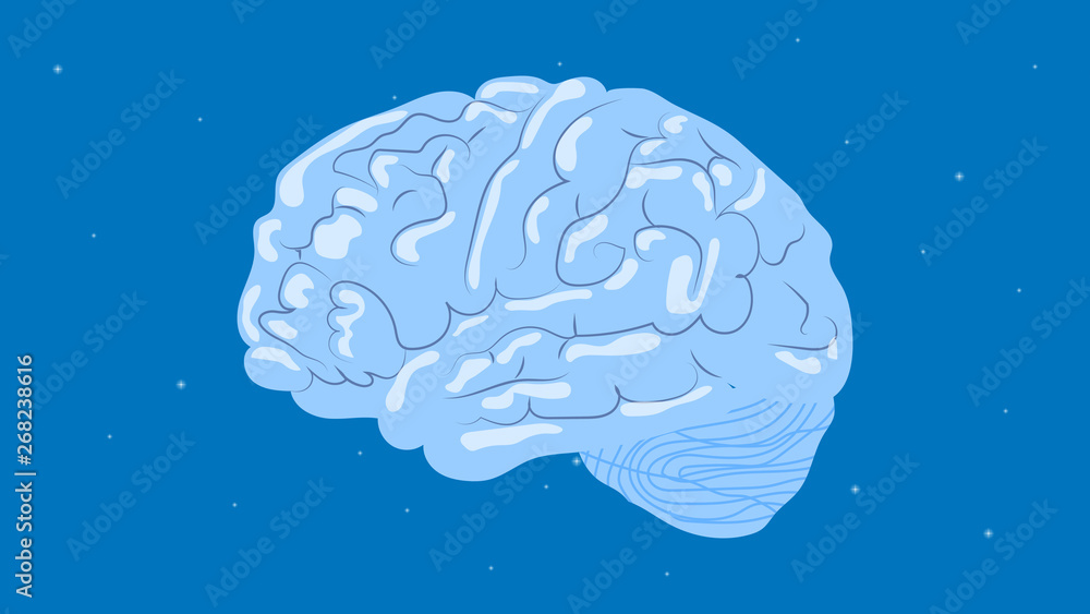 Human brain in the starry sky background vector illustration Human brain in the starry sky background vector illustration