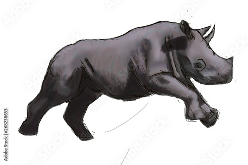 rhinoceros child