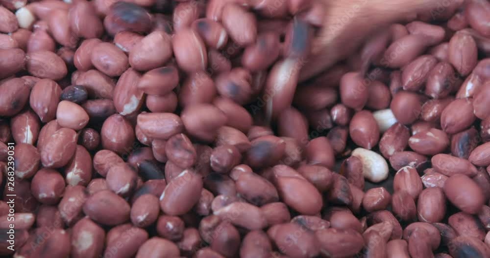Nuts Being Roasted In A Pan Nuts Being Roasted In A Pan