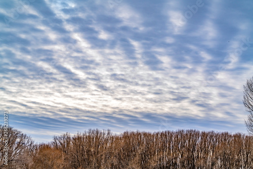 Breathtaking sky filled with a layer of illuminated puffy clouds in winter