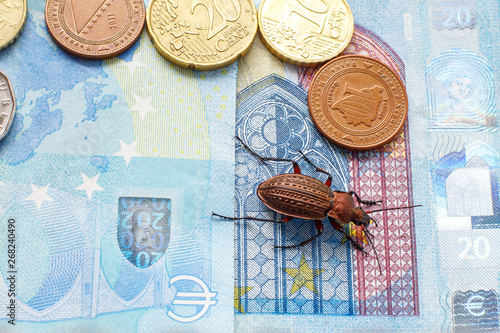 Ground beetle on the bill bill of 20 euros next to a small coin of Bosnia and Herzegovina photo