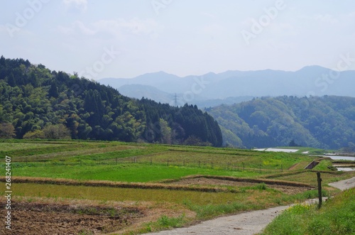 島根県 山王寺の棚田 photo