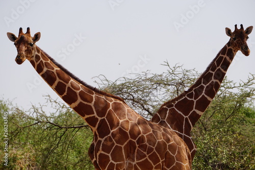 Photography AFRICA