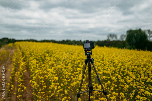 camera on a tripod in a flowering field. landscape photography 