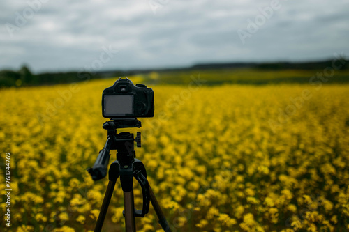 camera on a tripod in a flowering field. landscape photography 