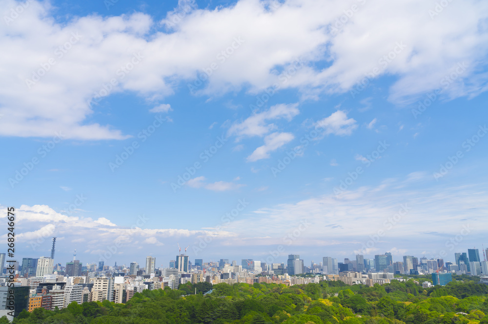 Obraz premium 東京風景 緑と青空 2019年5月 スカイツリーから東京タワーまで都心を一望