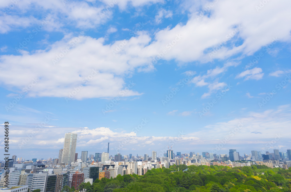 東京風景　緑と青空　2019年5月　新宿から望む東京スカイツリー方面