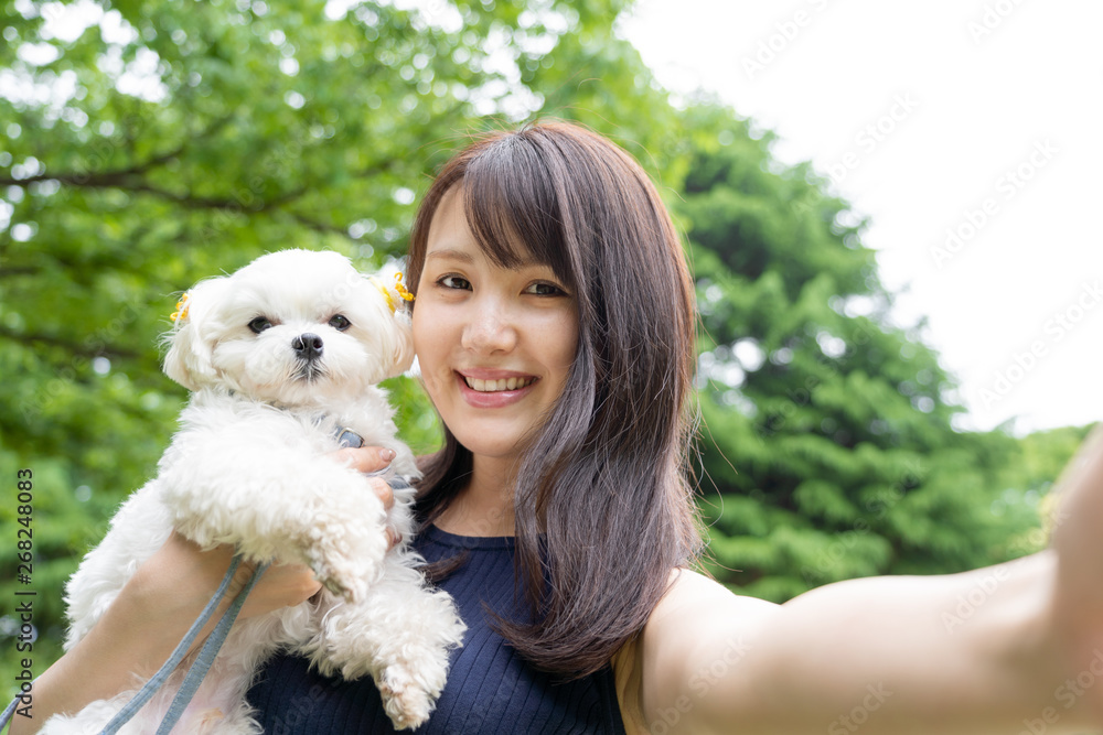 マルチーズ ペットイメージ マルチーズ ペットイメージ