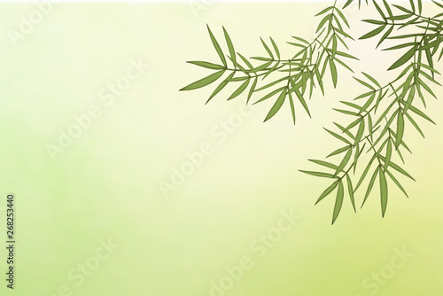 Fototapeta Naklejka Na Ścianę i Meble -  Bamboo leaf background