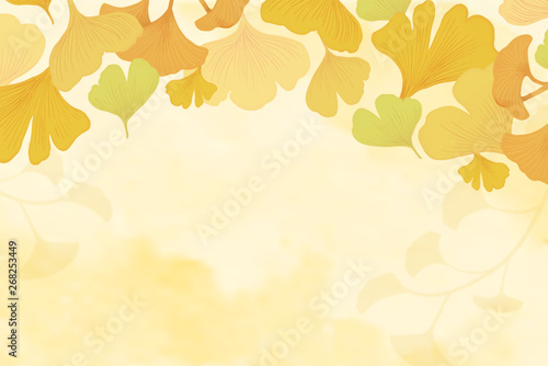 Gingko leaf background