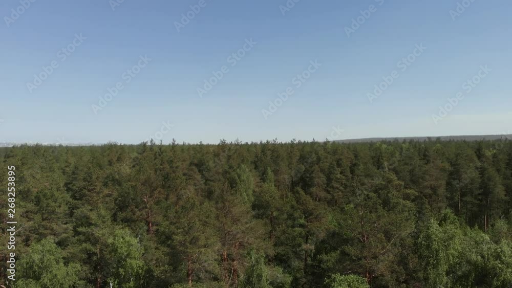 Bird's eye view of beautiful green forest aerial shot. Aerial view 4K. The camera flies up in front of the forest above the treetops Bird's eye view of beautiful green forest aerial shot. Aerial view 4K. The camera flies up in front of the forest above the treetops