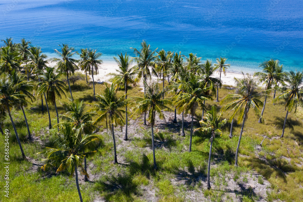 Seen from a bird's eye view, coconut palm trees grow on a remote island ...