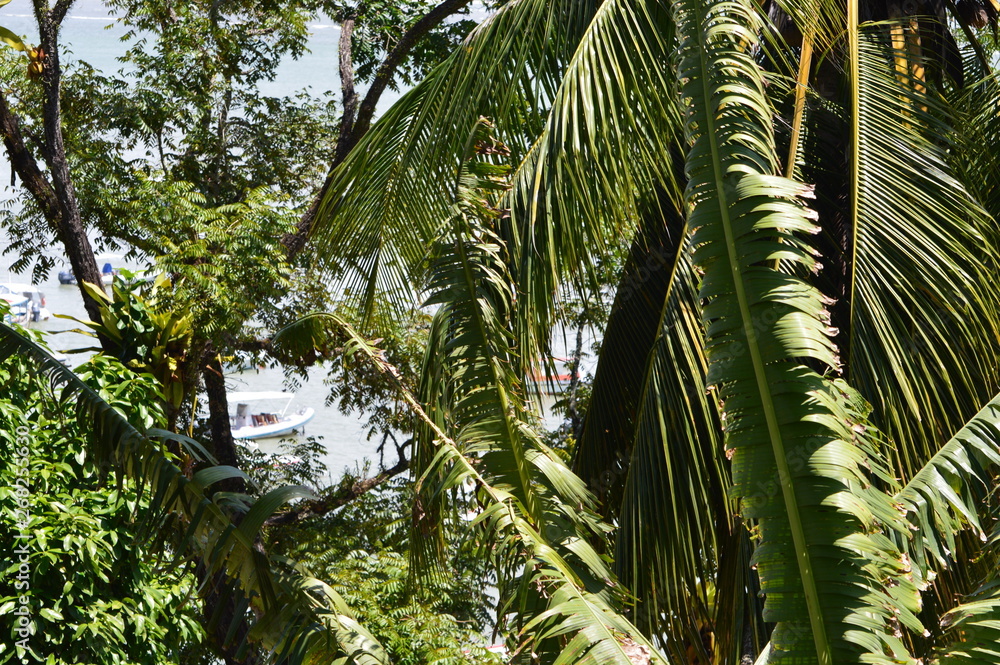 Obraz premium morro d e sp - bahia