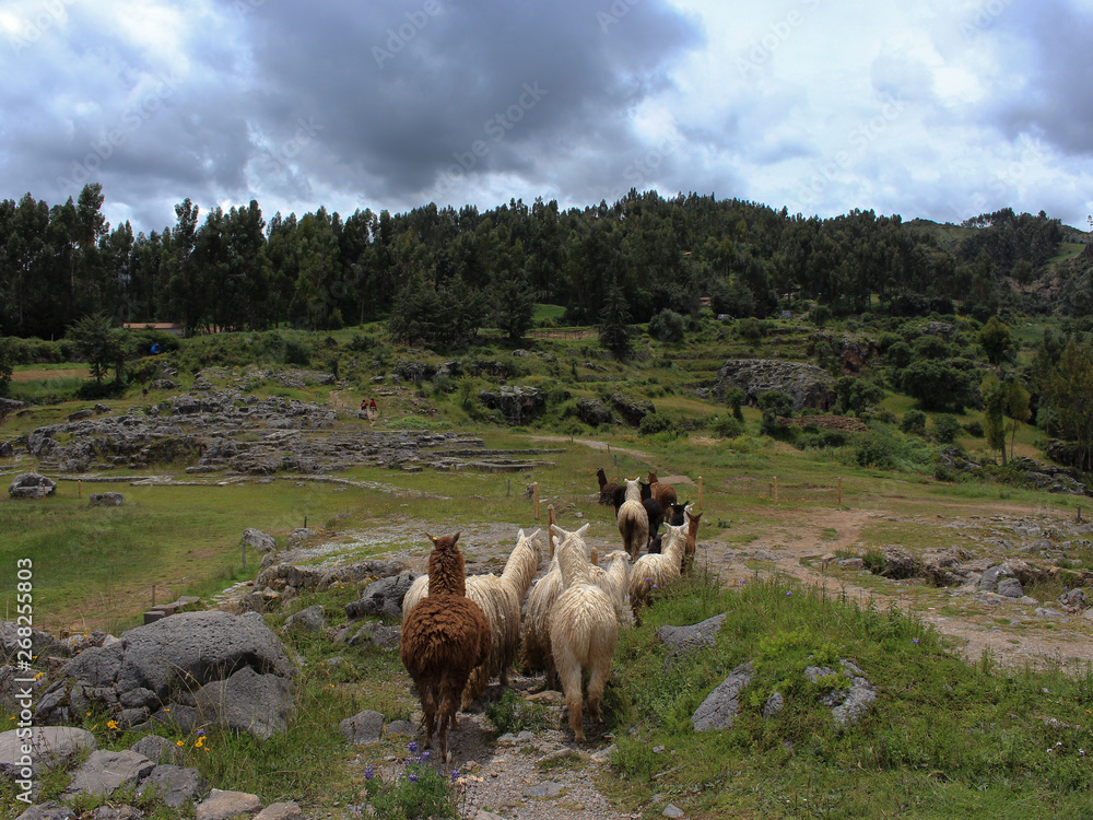 Ollantaytambo, Cuzco - Perú