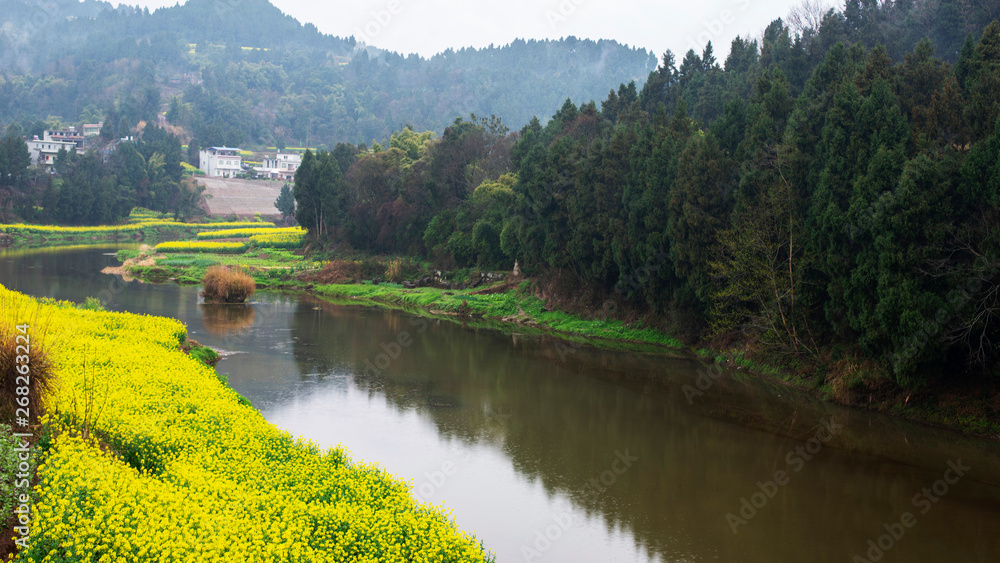 Fototapeta premium scenery of the town south of the Yangtze River in spring