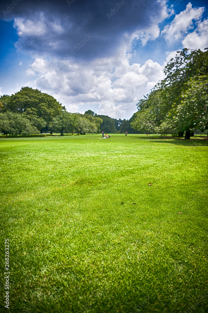 東京都新宿区の公園の広い芝生と空
