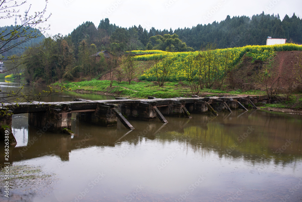 scenery of the town south of the Yangtze River in spring