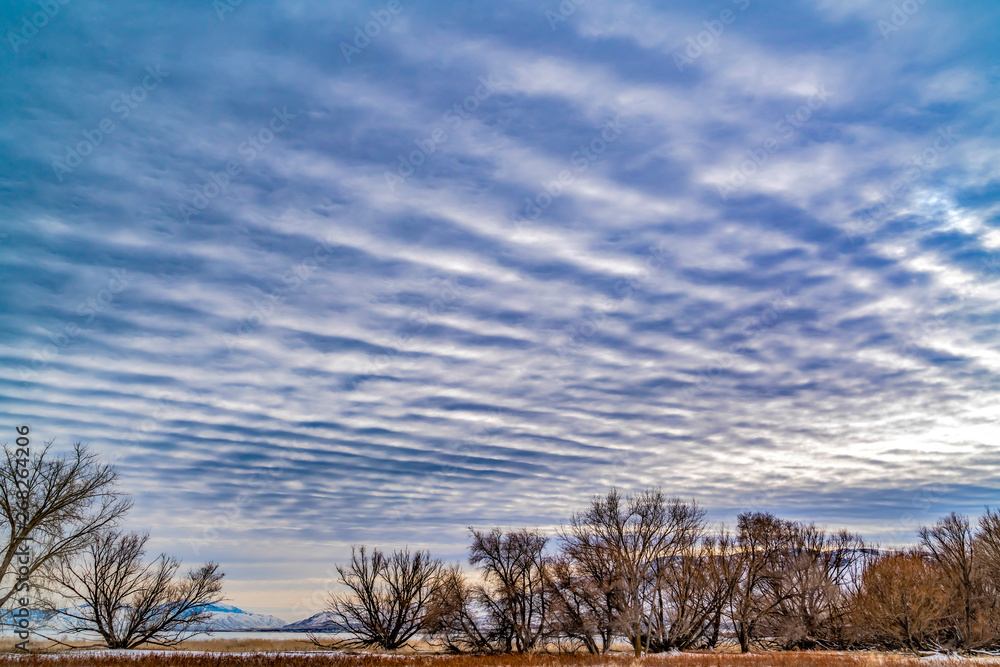 Defocused view of a dramatic blue sky filled with white puffy clouds Defocused view of a dramatic blue sky filled with white puffy clouds