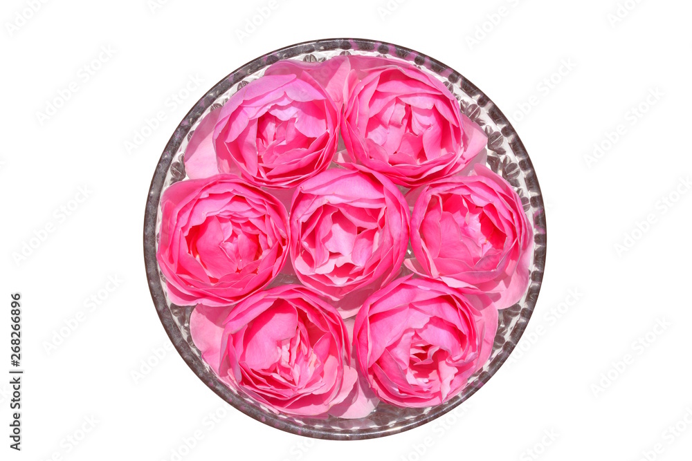 ガラスの器に浮かべたかわいい薔薇 ピンクの花 白背景 Stock 写真 Adobe Stock