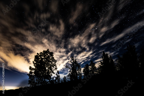 Tree sky night © Manuel