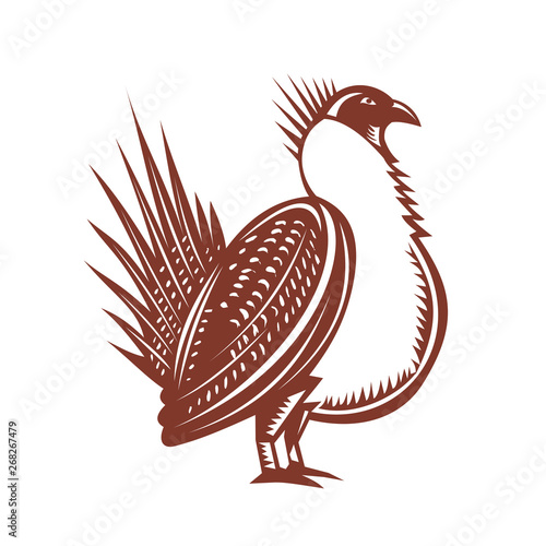 Retro woodcut style illustration of an adult male greater sage-grouse, sage grouse bird or sagehen, the largest grouse in North America viewed from side on isolated background.
