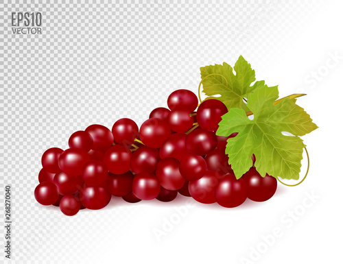 Bunch of red grapes with vine leaves isolated on transparent background. Realistic, fresh, natural food, dessert. 3d vector illustration for agriculture design.