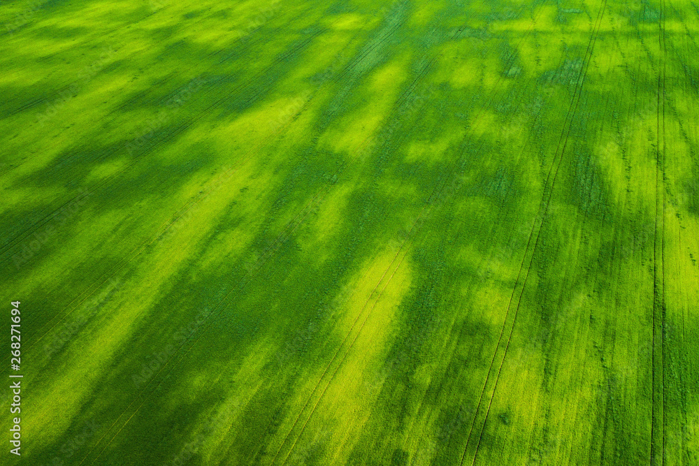 aerial view of grass field. natural green spring summer background. drone  shot Stock Photo | Adobe Stock