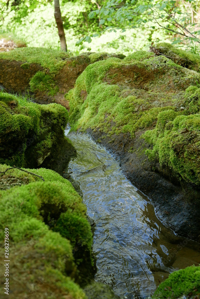 Naklejka premium Waldfrieden
