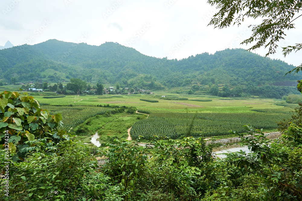 River Mountain landscape north Vietnam. Beautiful view on the Ha Giang loop on the north of Vietnam. Motorbike trip