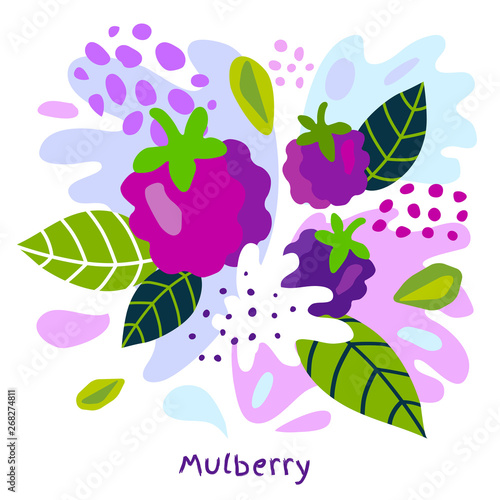 Fresh mulberry berry berries fruits juice splash organic food juicy mulberries splatter on abstract background vector hand drawn illustrations
