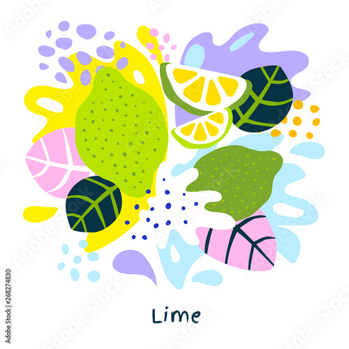 Fresh lime tropical exotic citrus fruits juice splash organic food juicy splatter limes on abstract background vector hand drawn illustrations