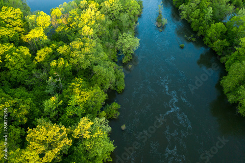 Fototapeta Naklejka Na Ścianę i Meble -  Caddo River, Arkadelphia Arkansas
