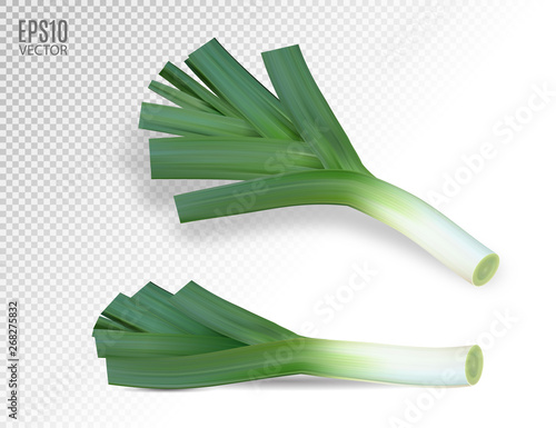 Fresh leek on a white background. Photo realistic vector, 3d