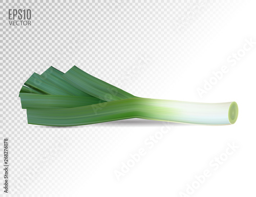 Fresh leek on a white background. Photo realistic vector, 3d